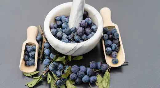 The Health Benefits of Elderberry: 5 Ways to Improve Your Health